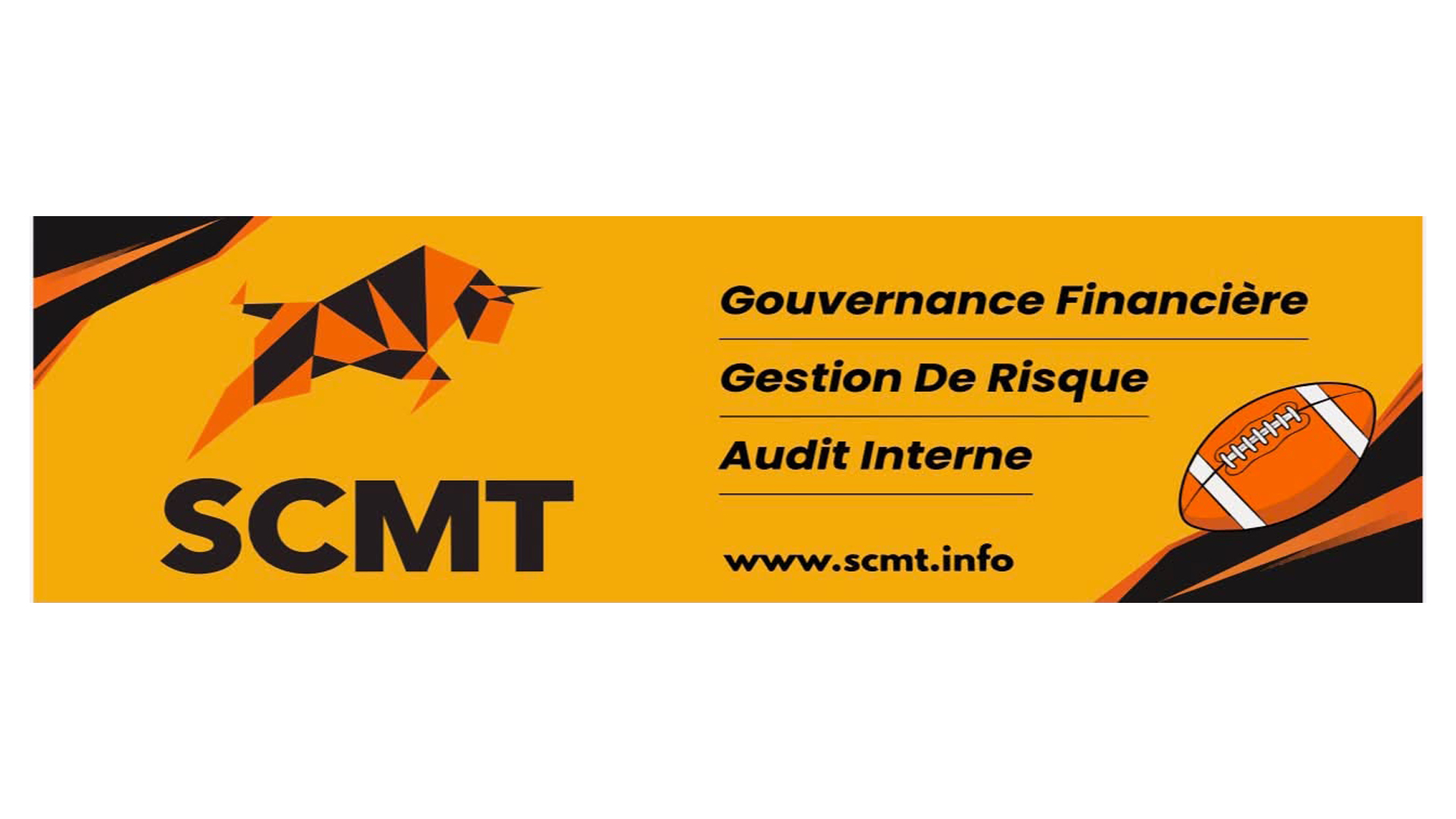 SCMT__gouvernance_financiere